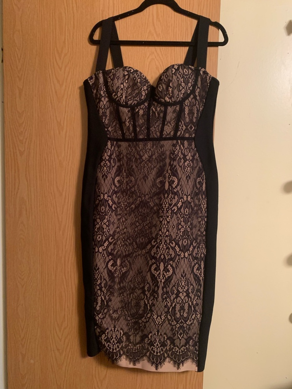 Black and Blush Lace Sheath Dress